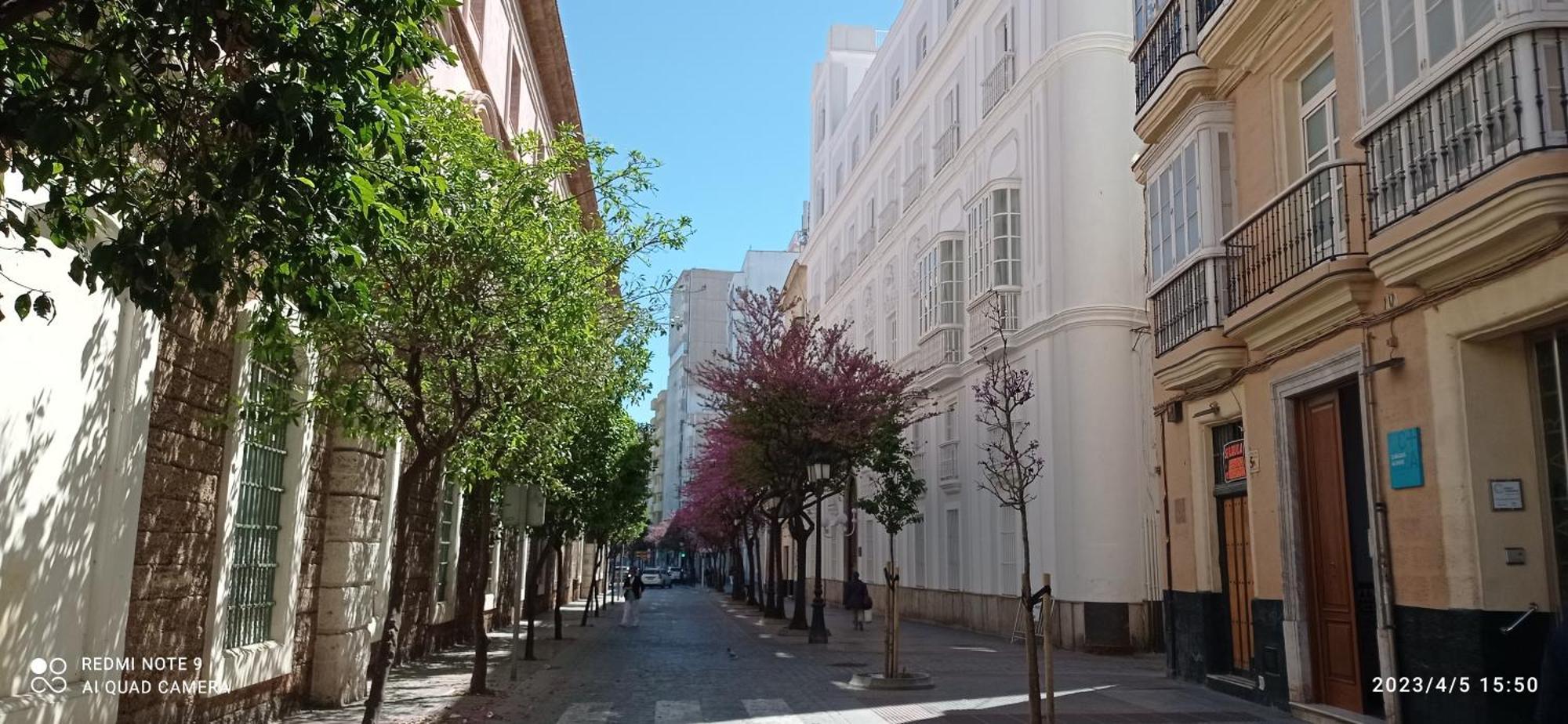 Top Estudio Rosario Cadiz Playa Εξωτερικό φωτογραφία